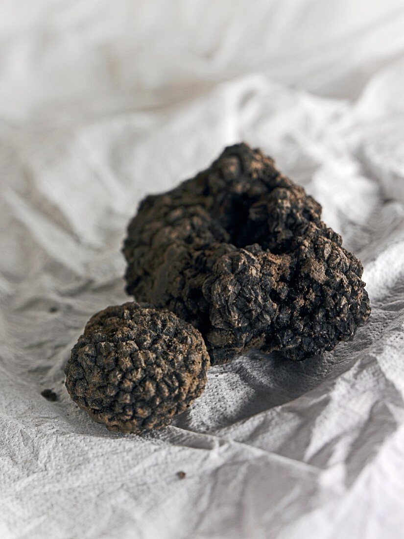 A summer truffle on a piece of white paper