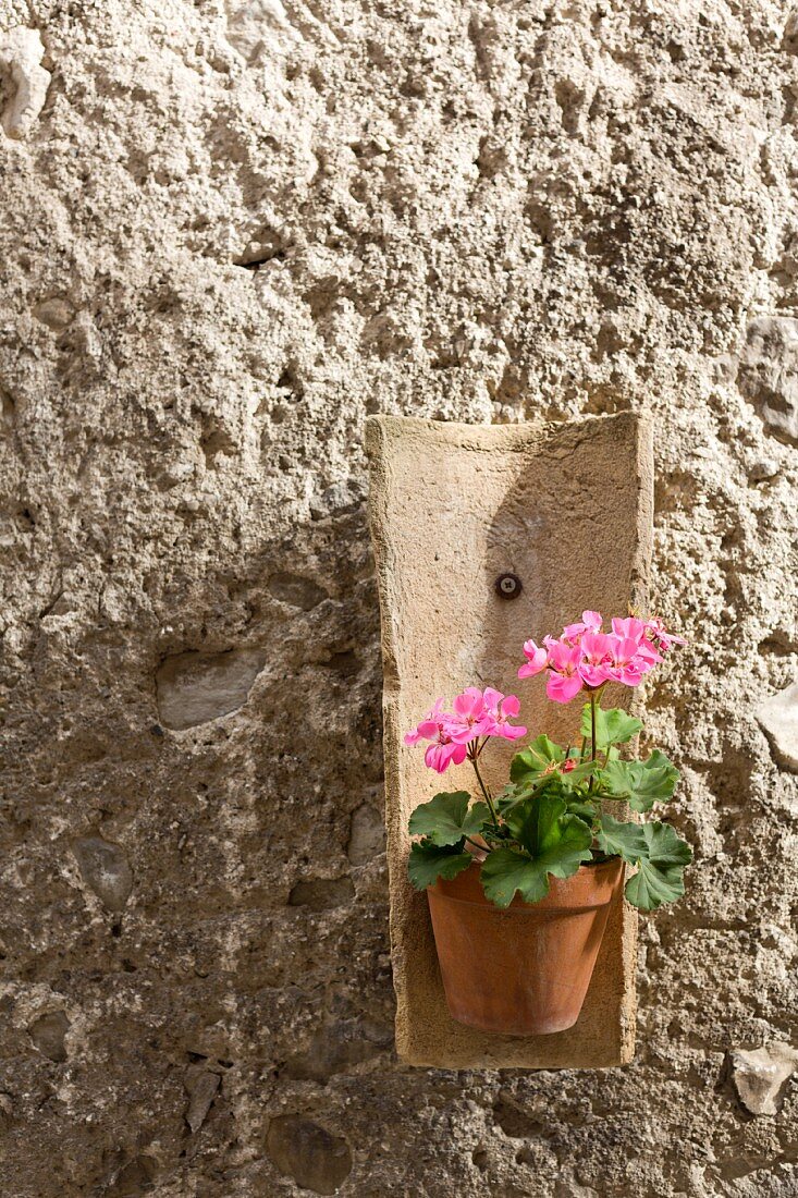 A terracotta tile on the wall being used as a flower pot holder for geraniums