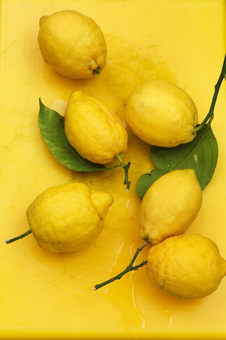 Frische Zitronen auf gelbem Untergrund