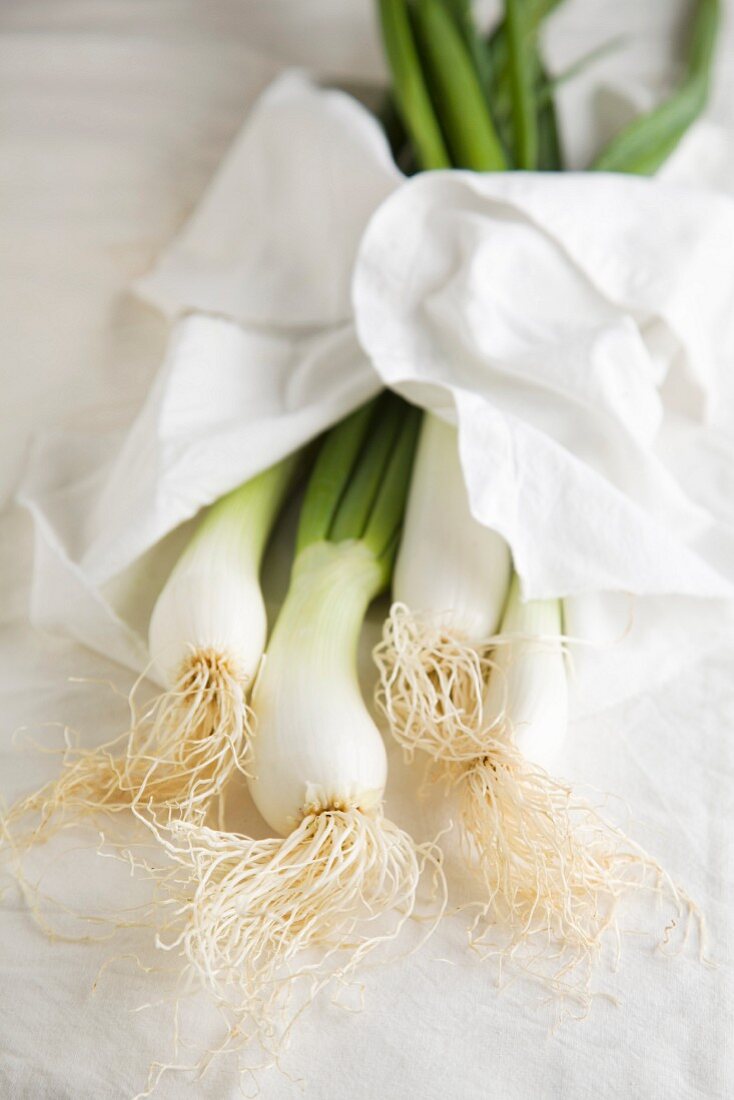 Spring onions with a white cloth
