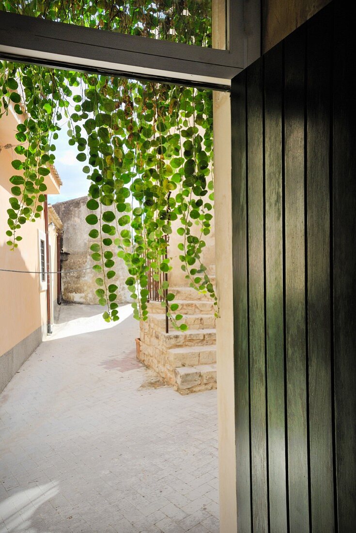 View into Mediterranean courtyard with stone steps and green trailing plants