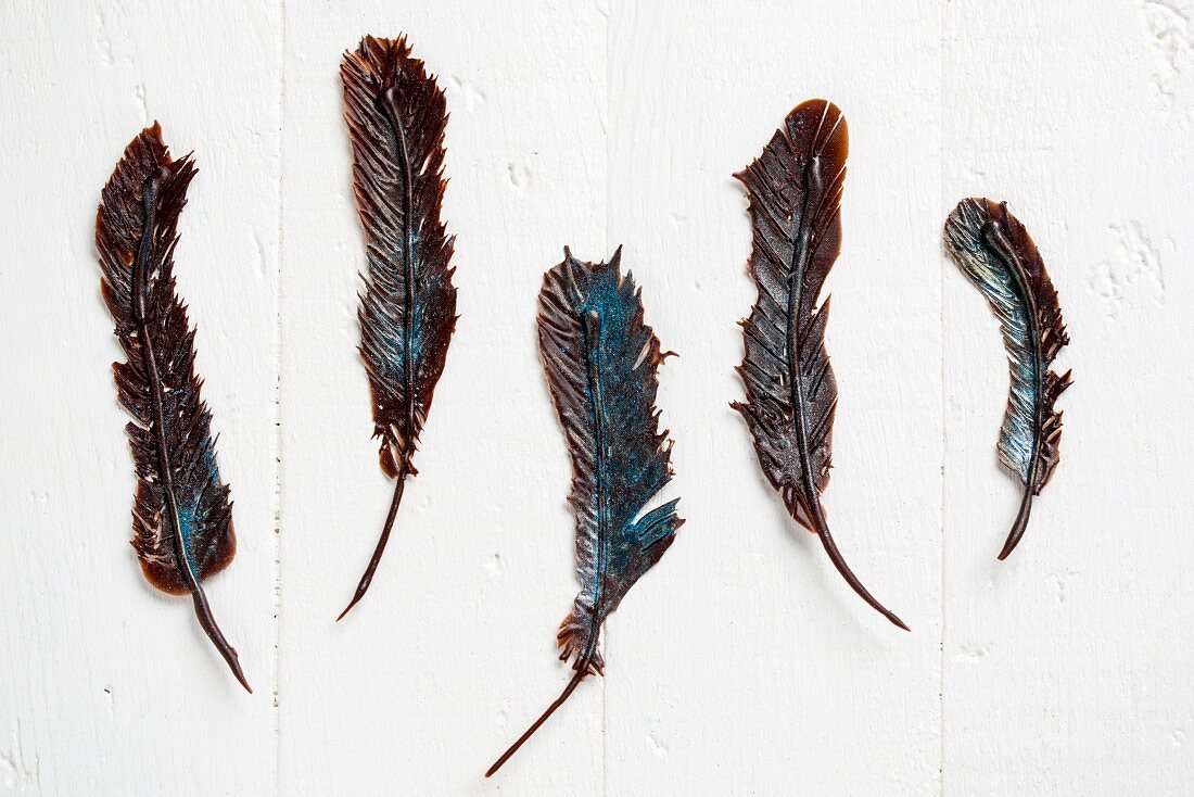 Five chocolate feathers