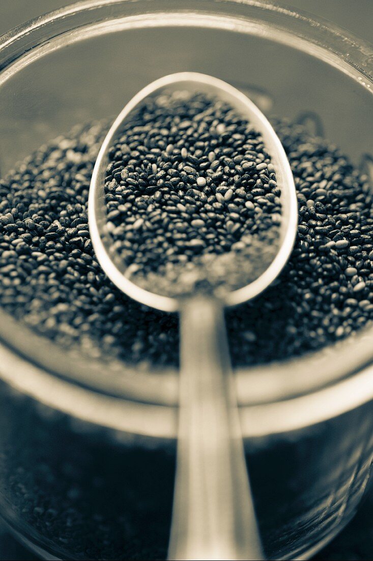 Chia seeds in a bowl and on a spoon (black and white shot)