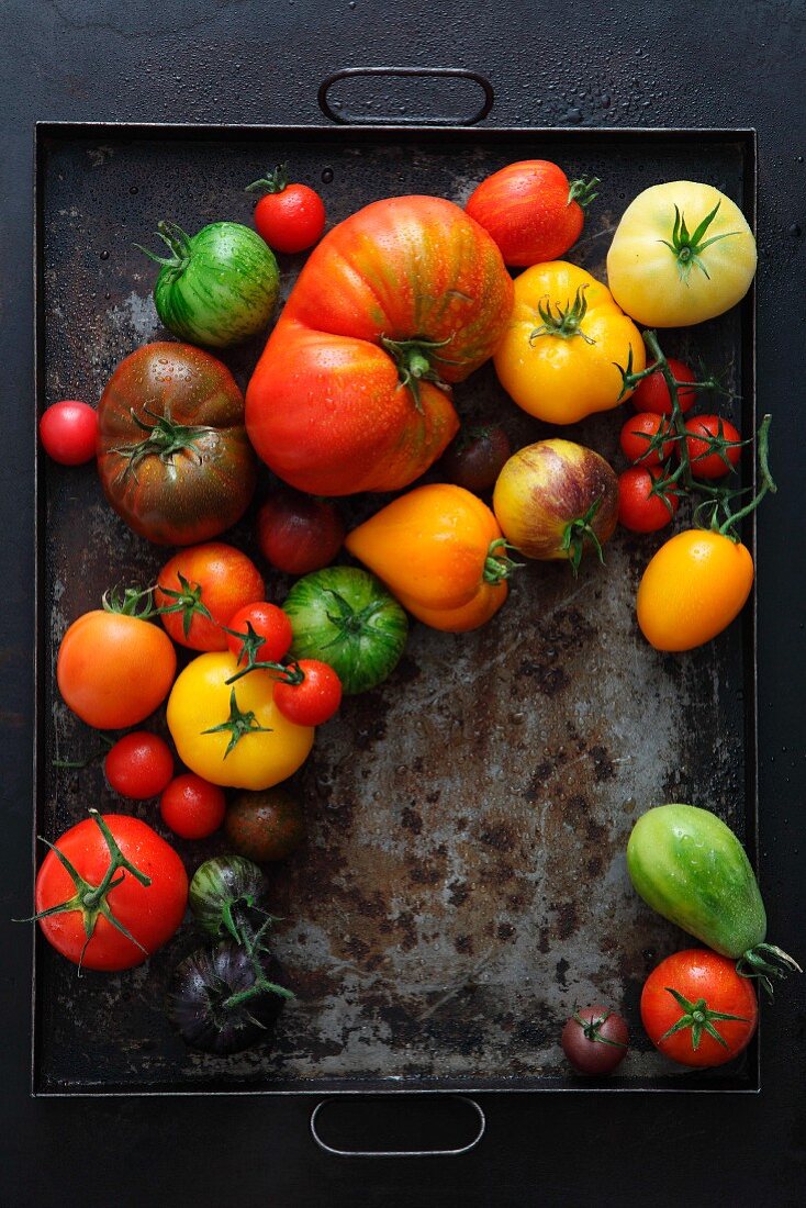 Various types of tomatoes (seen from above)