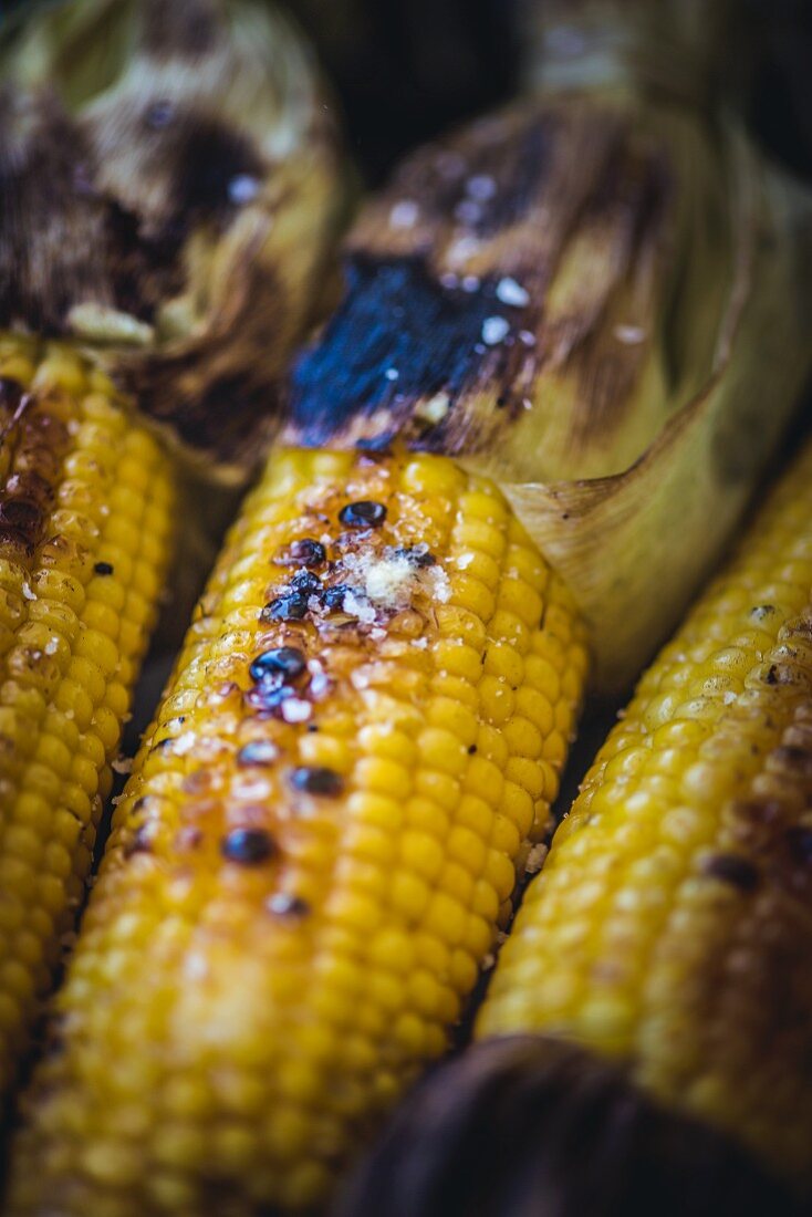 Grilled corn on the cob on the barbecue (close-up)