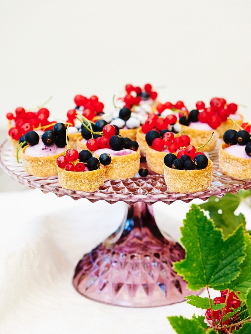 Mascarpone ice cream with red currants in mini pastry cases