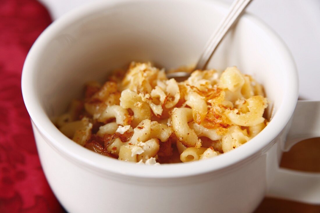 Macaroni and Cheese (Nudelauflauf mit Käse, USA)