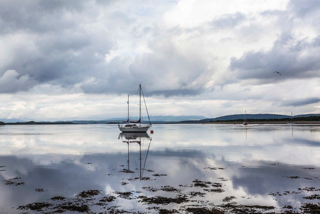 A sailing boot by the Scottish coast under a cloudy sky