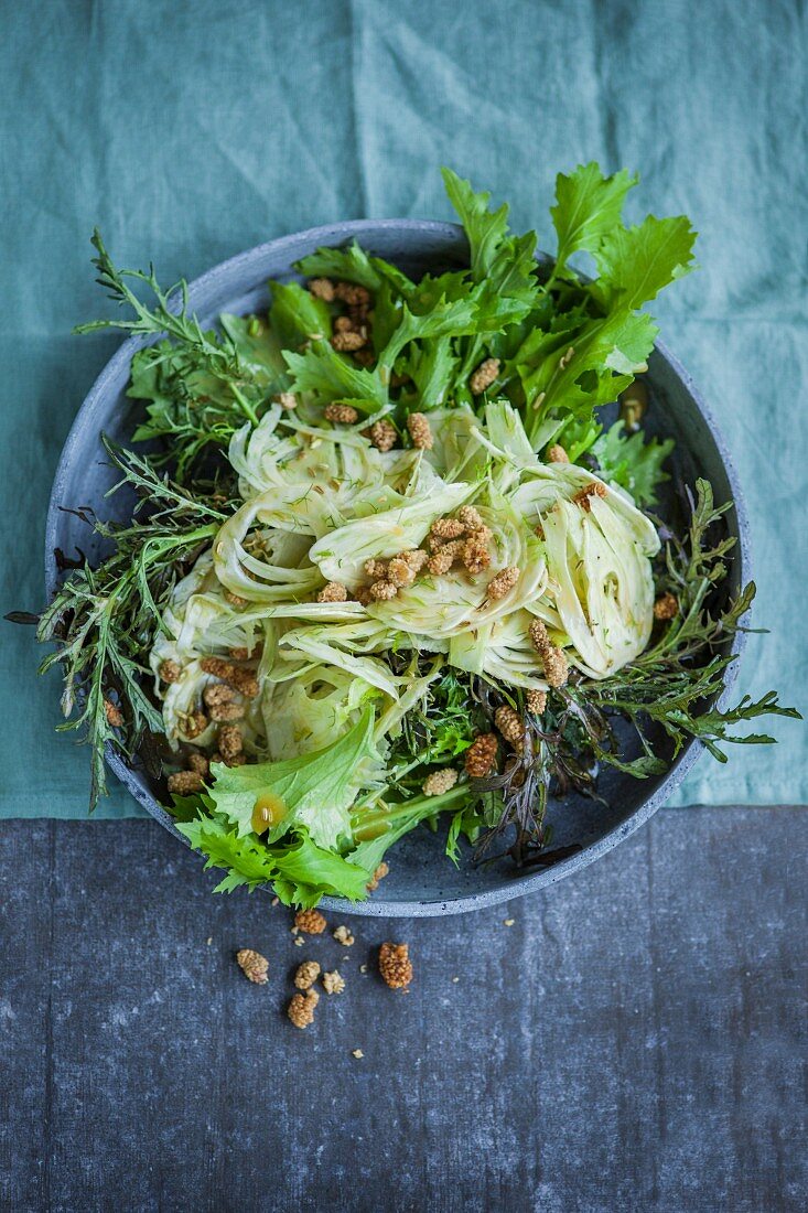 A fennel and mizuna salad with dried white mulberries (superfood)