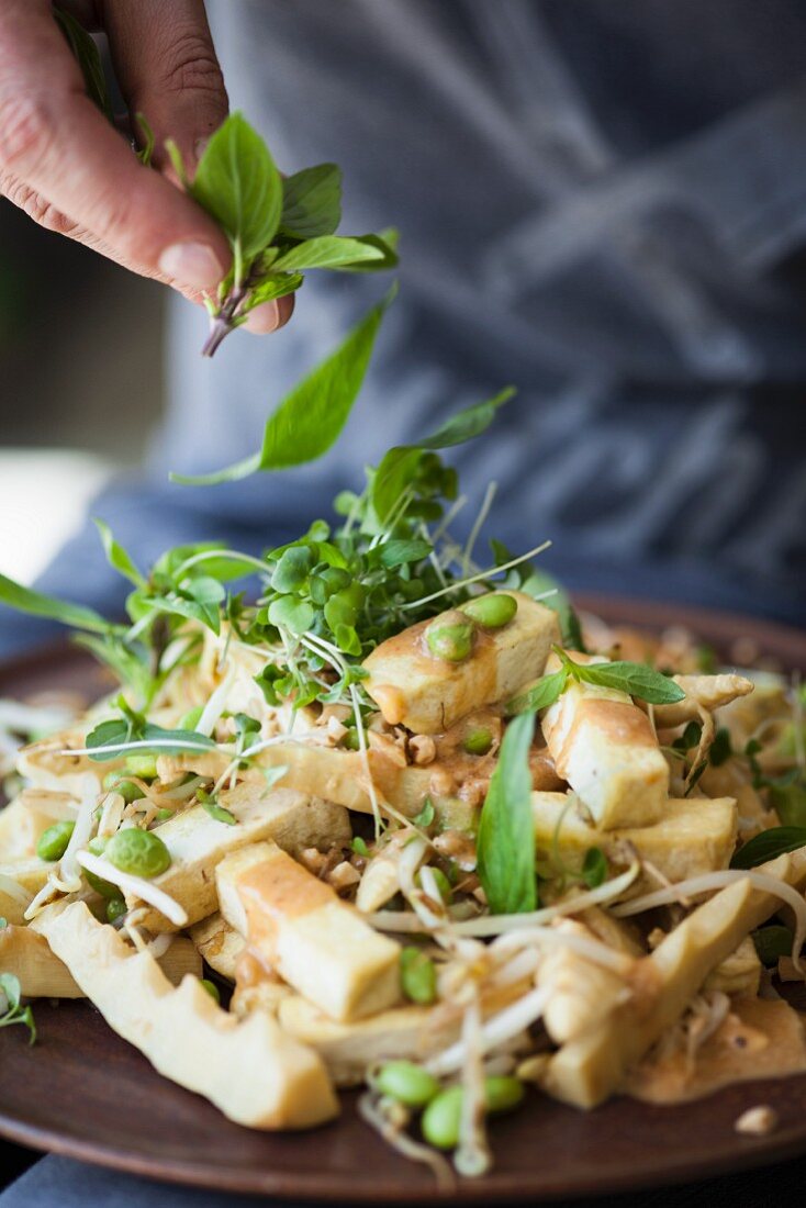 Tofu mit Sprossen, Erdnüssen und Thaibasilikum (Superfood)