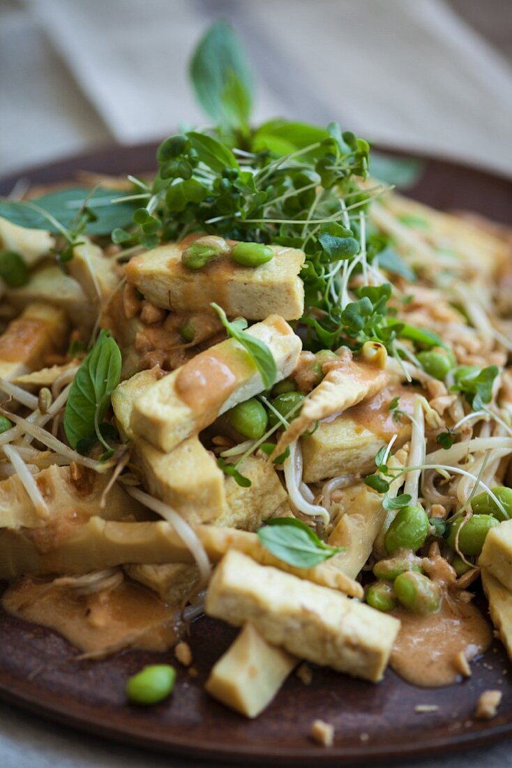 Tofu mit Sprossen, Erdnüssen und Thaibasilikum (Superfood)