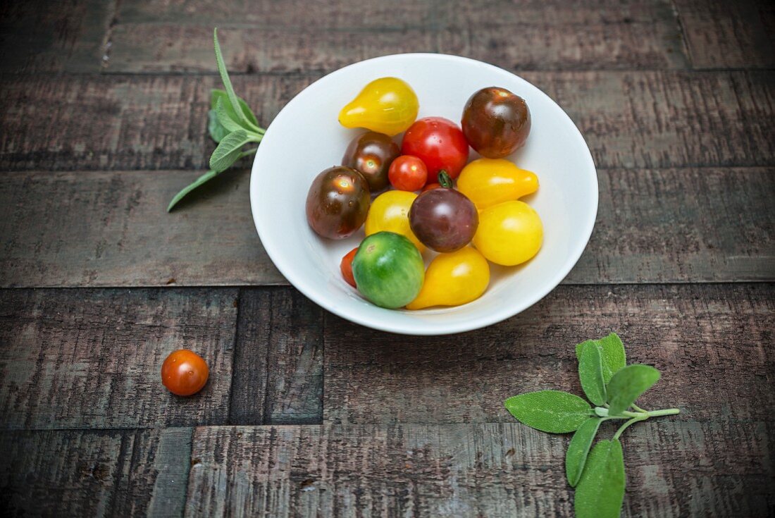 Verschiedene Tomaten in Porzellanschüssel und frischer Salbei auf Holzuntergrund