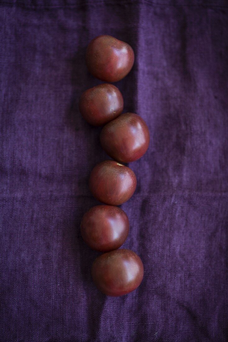 Sechs schwarze Tomaten auf violettem Tuch