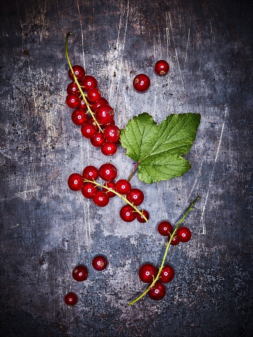 Redcurrants on a grey background (seen from above)