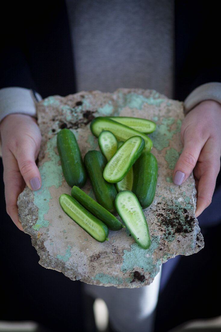 A person holding a stone slab with fresh mini cucumbers