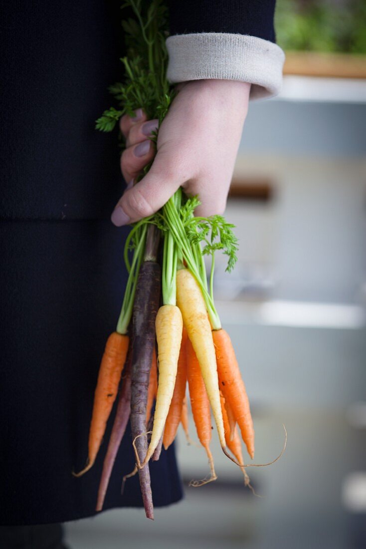 A person holding a bunch of mini carrots in their hand