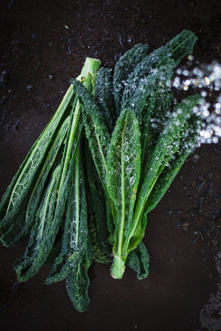 Black kale with droplets of water