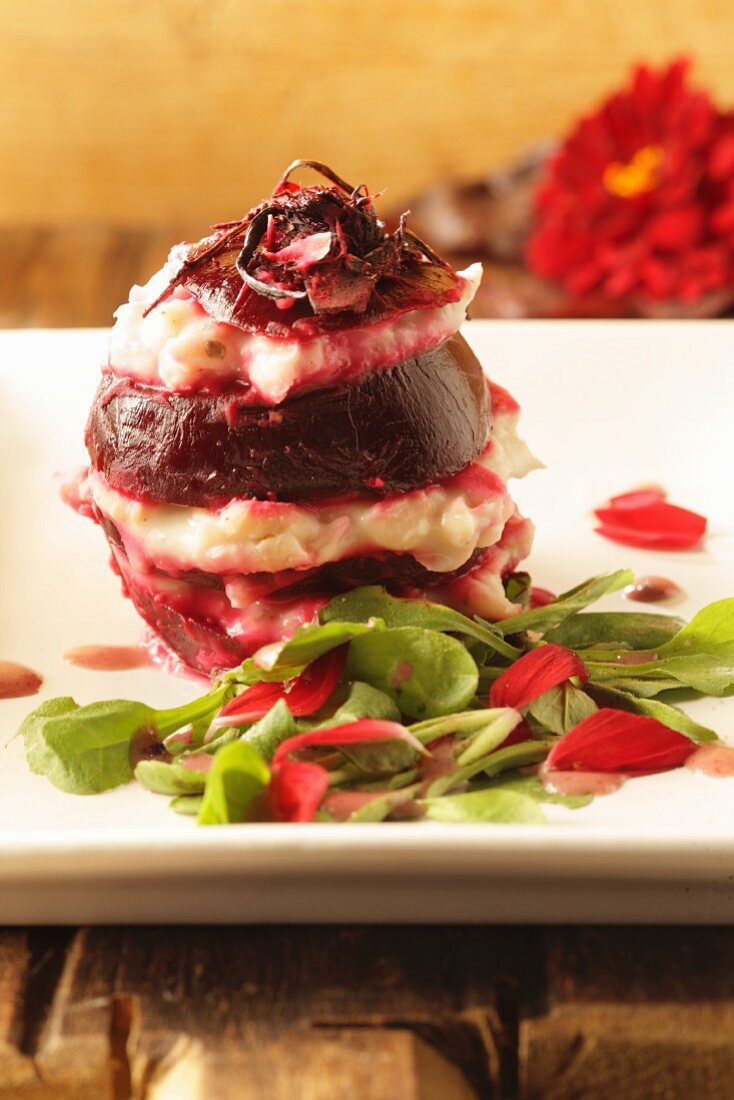 A beetroot salad with white bean cream on a bed of wild herb salad