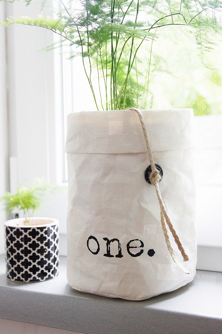Green asparagus in white paper bag with printed lettering on windowsill