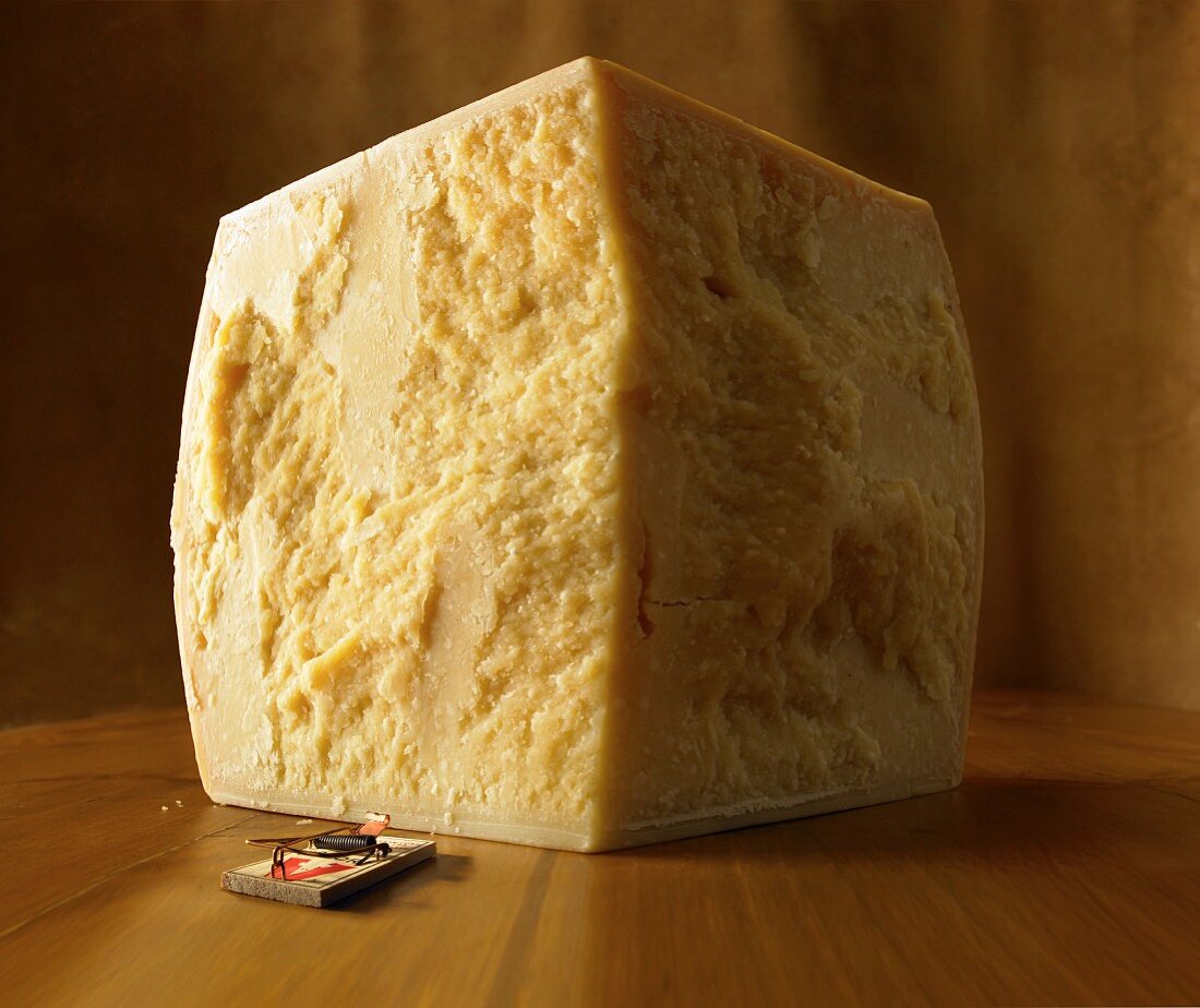 A mousetrap in front of a block of cheese