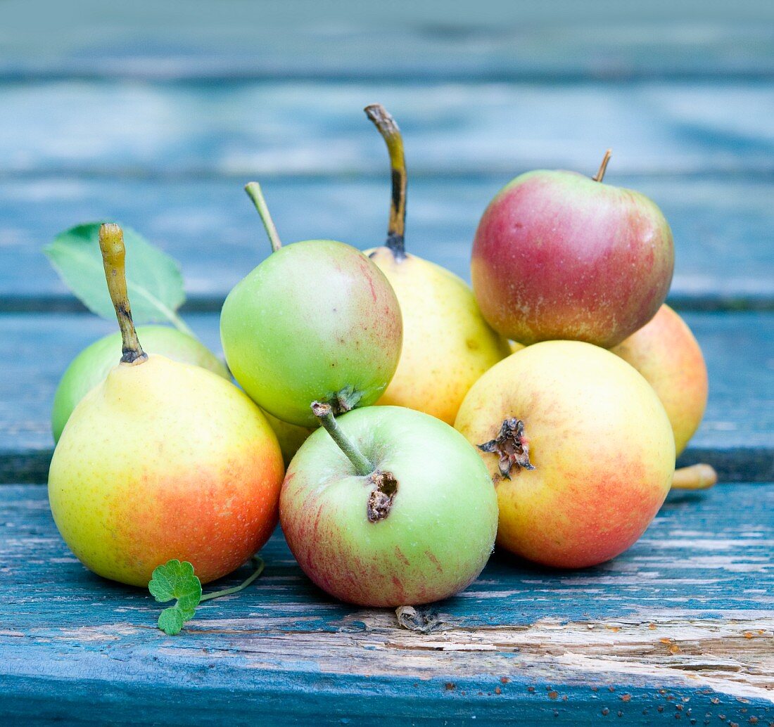 Äpfel und Birnen auf Holztisch