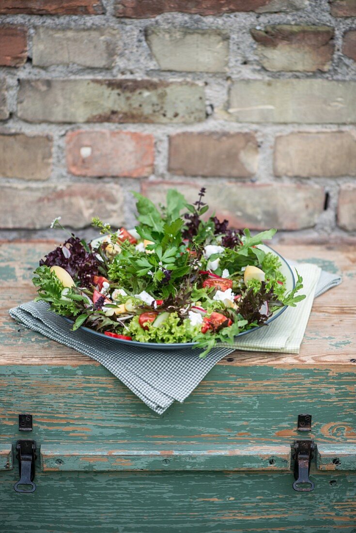 Wild herb salad with goats' cream cheese, cherry tomatoes, edible flowers, rocket and apple