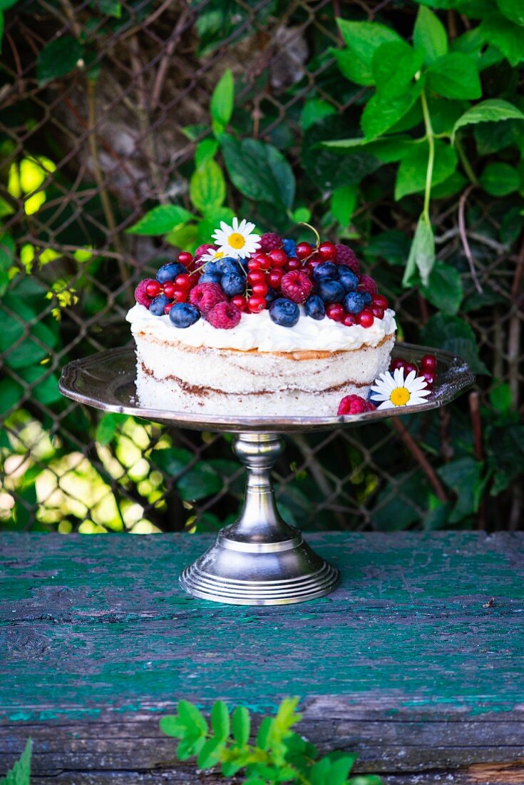 Sponge cake with cream cheese frosting and berries on a cake stand in a garden
