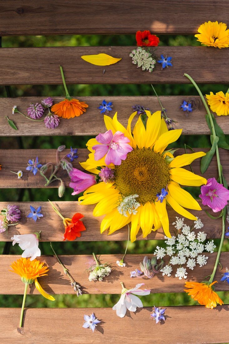 Verschiedene Blüten auf Holzbrettern