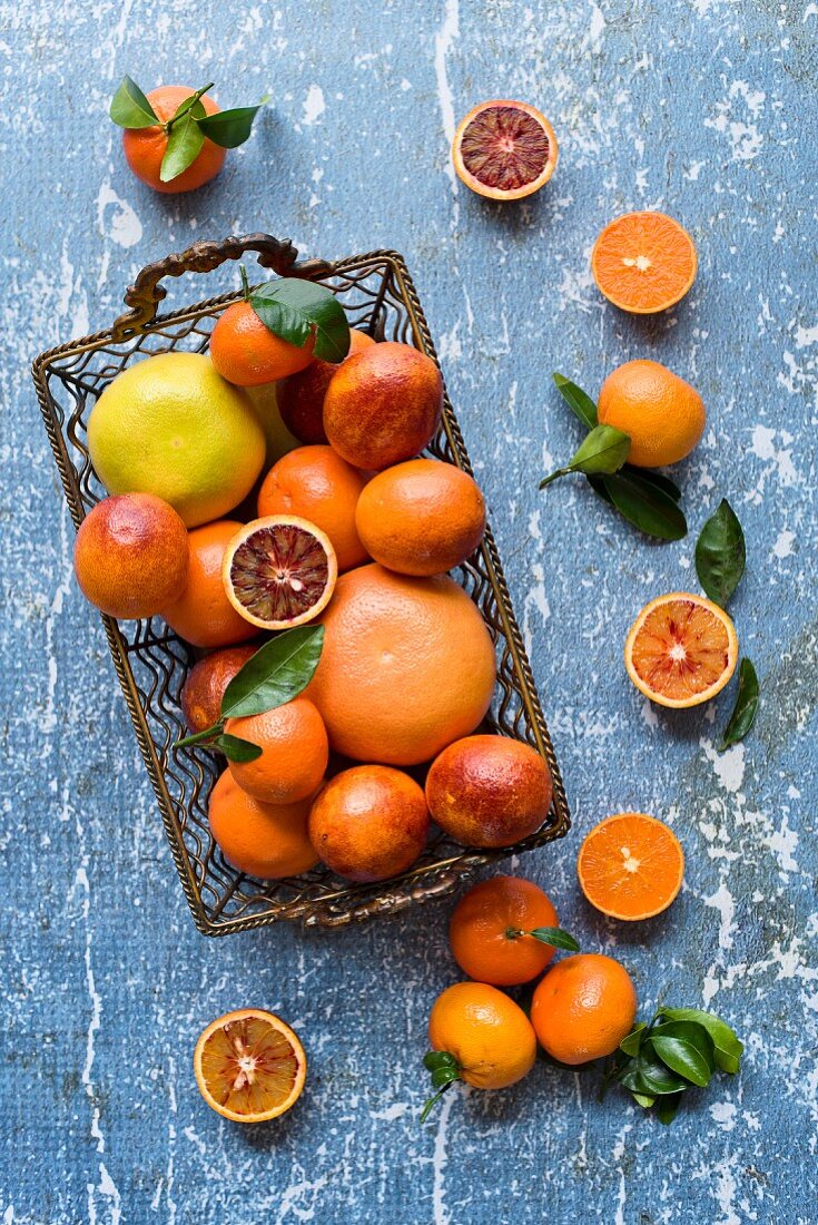 Blutorangen, Grapefruits, Orangen und Tangerinen im Drahtkorb