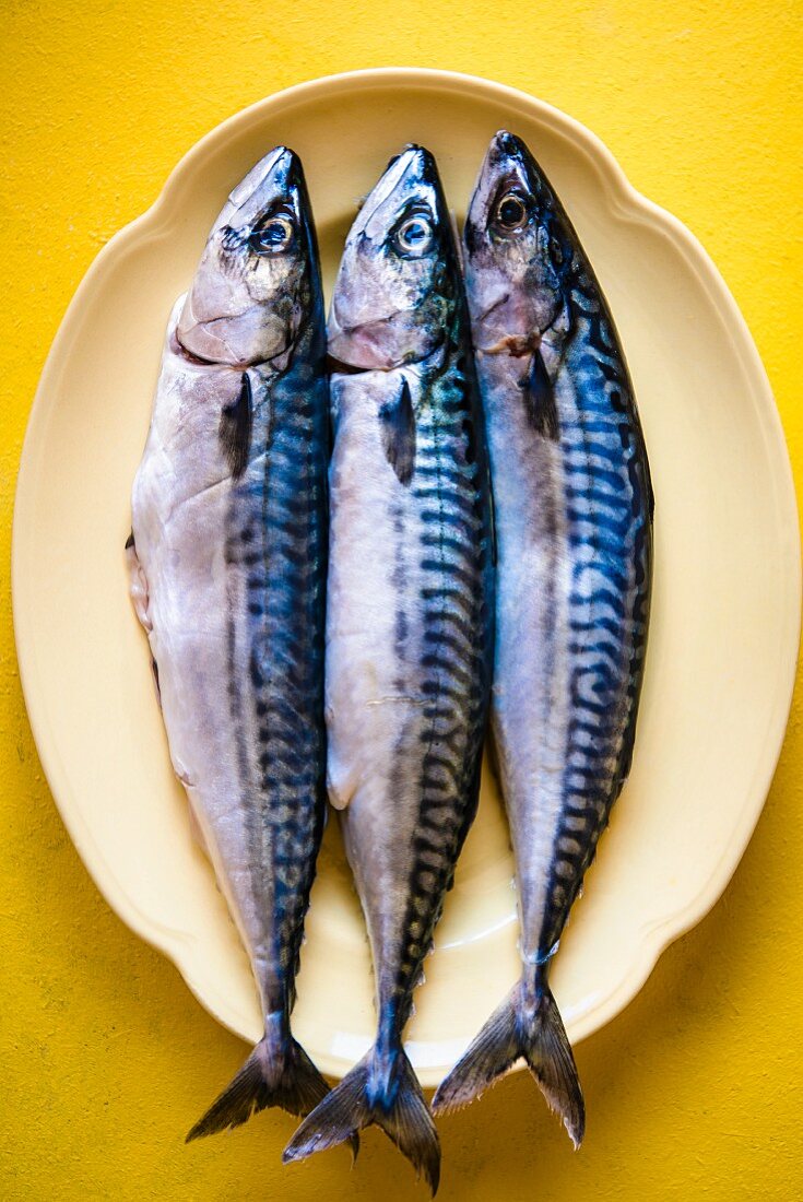 Three mackerel on a serving plate (seen from above)