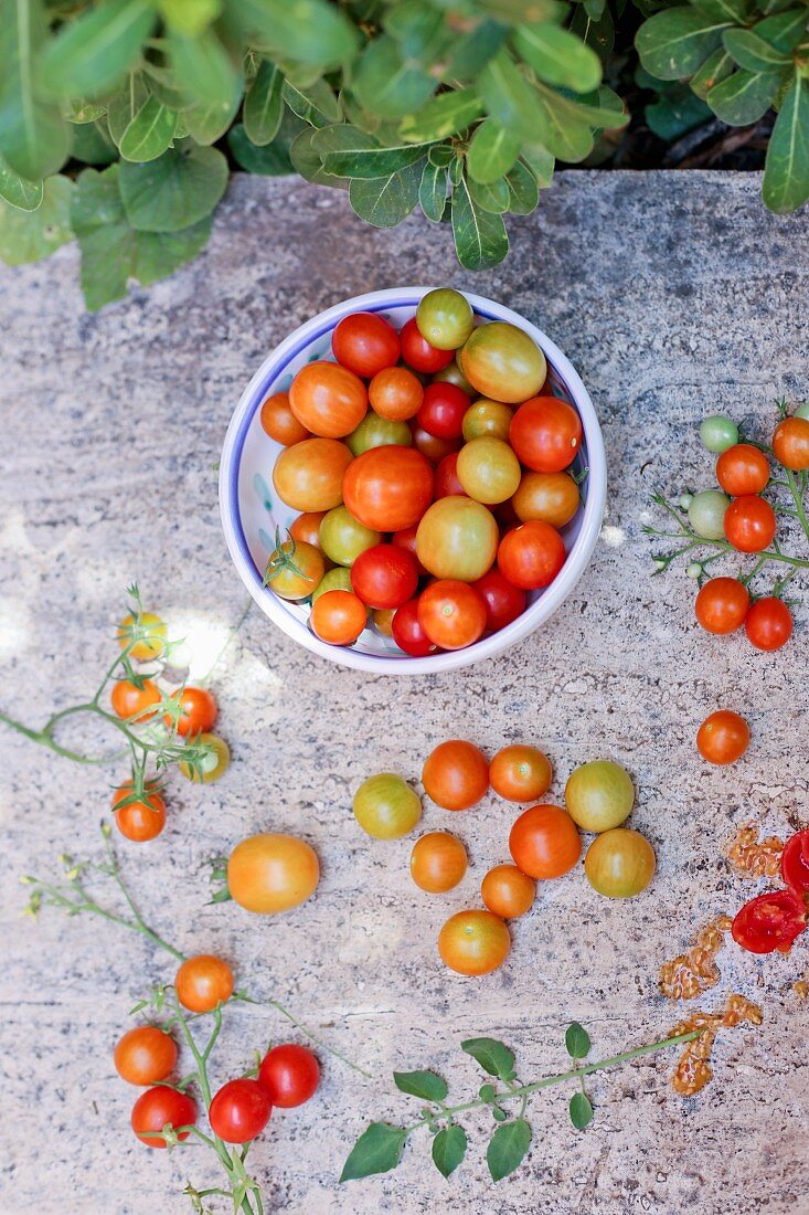 Italian cherry tomatoes