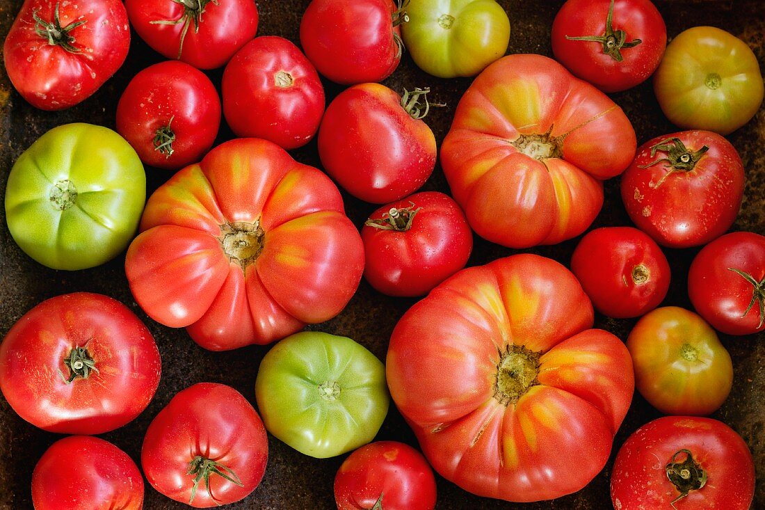 Various types of tomatoes (overhead view)