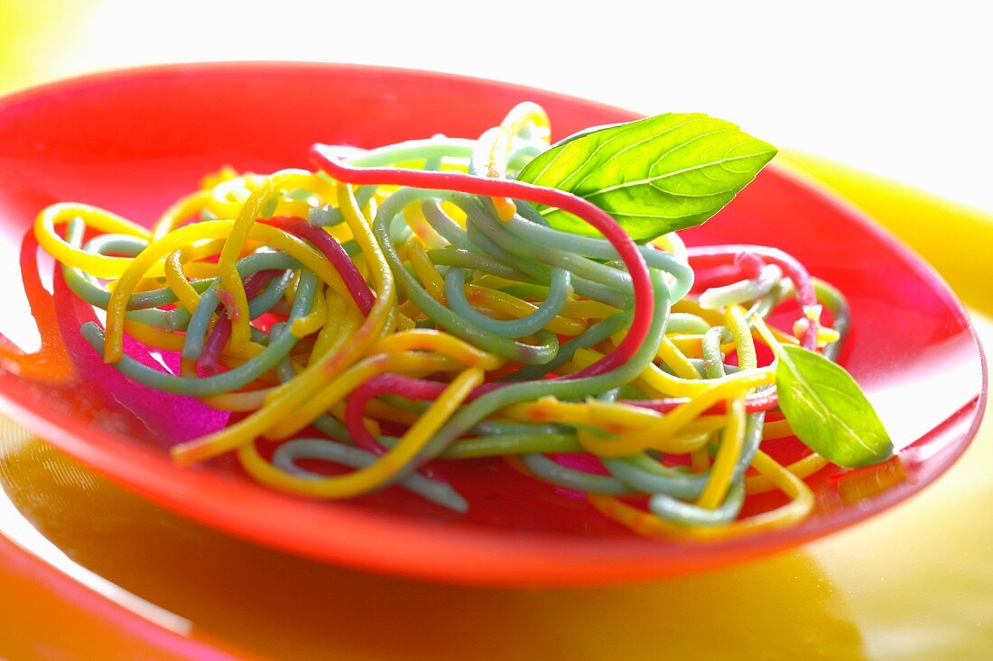 Colourful spaghetti on a red plate