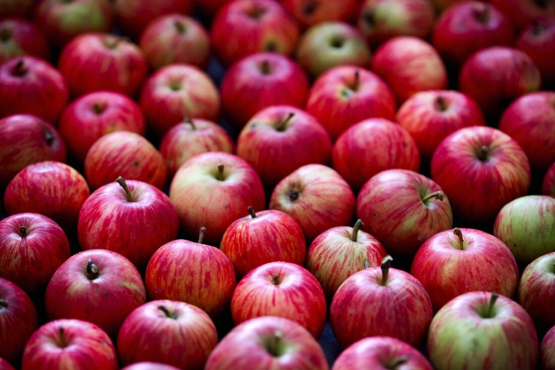 Many Assorted Red Apples