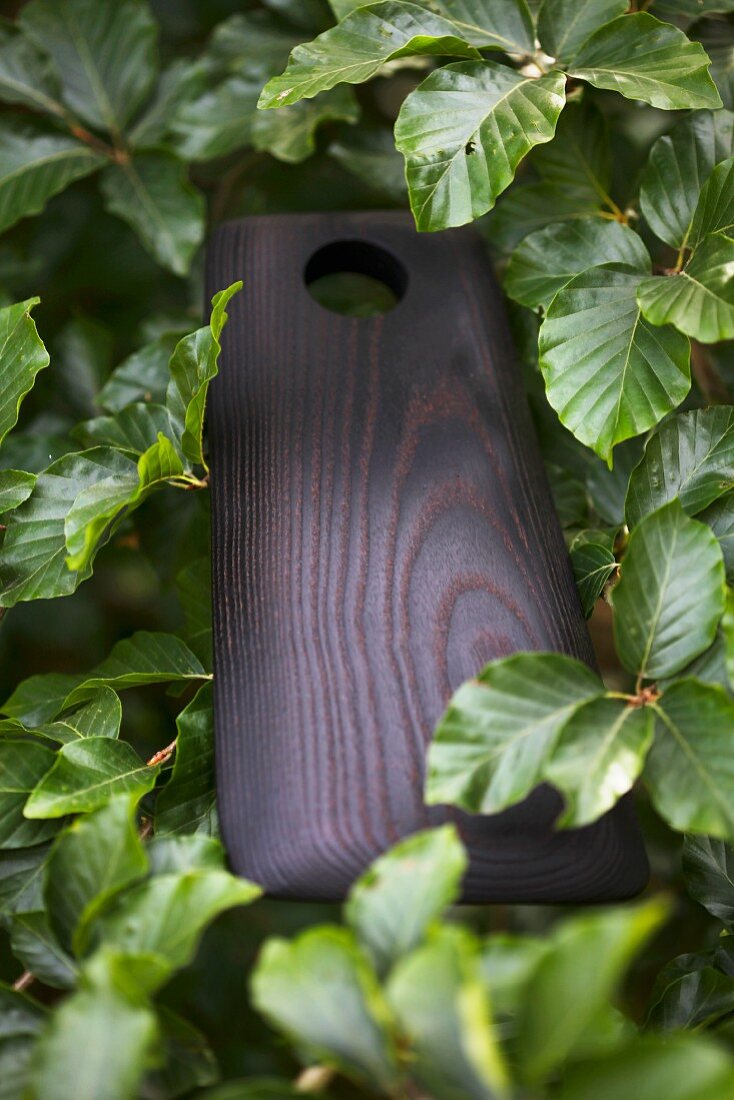 A wooden chopping board in a hedge