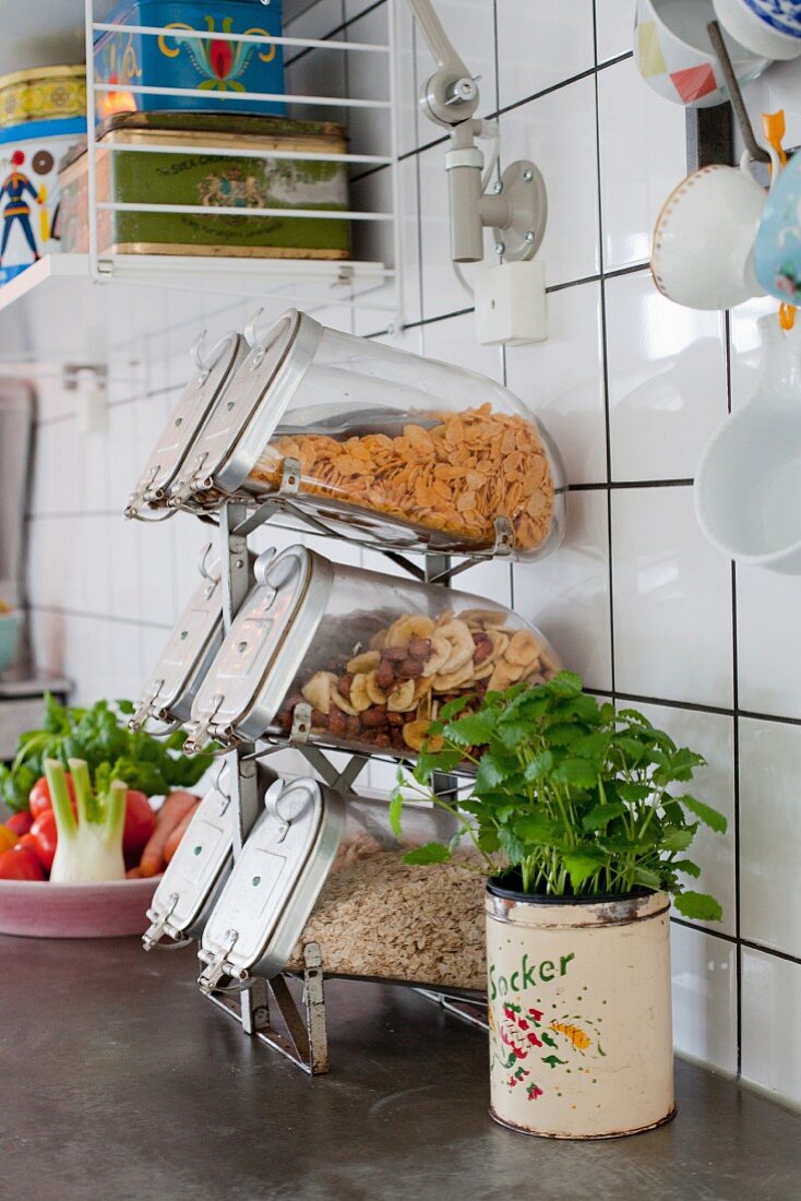 Storage jars in retro frame next to pot of herbs