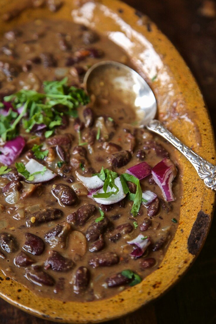 Kidney bean stew with red onions (Kenya, Africa)