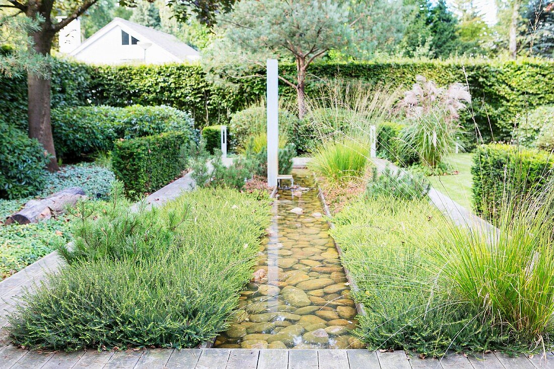 Straight stream, bushes, ornamental grasses and deciduous hedge in landscaped garden