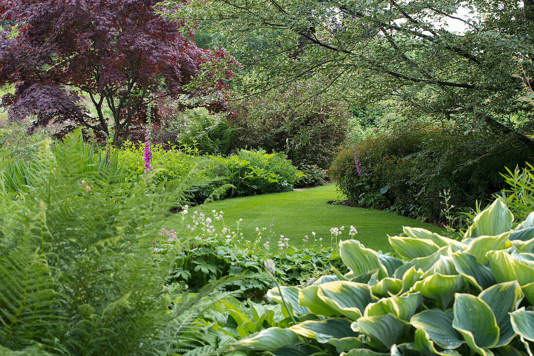 Gepflegter Garten mit Rasenweg