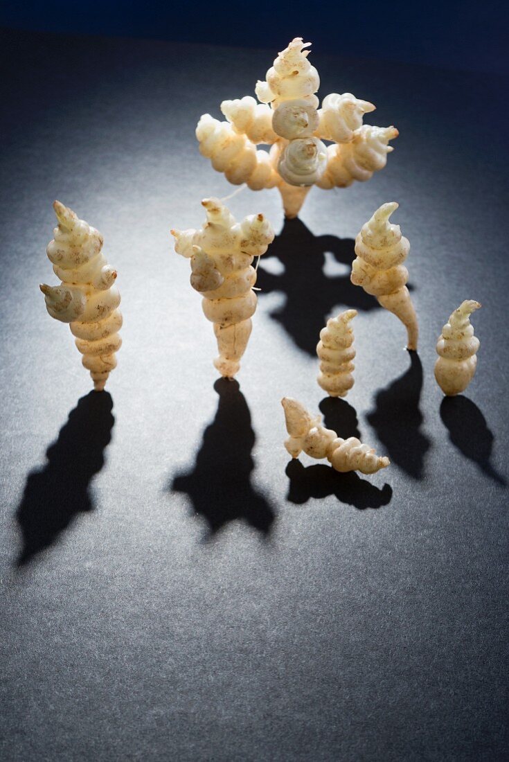 An arrangement of Japanese artichoke