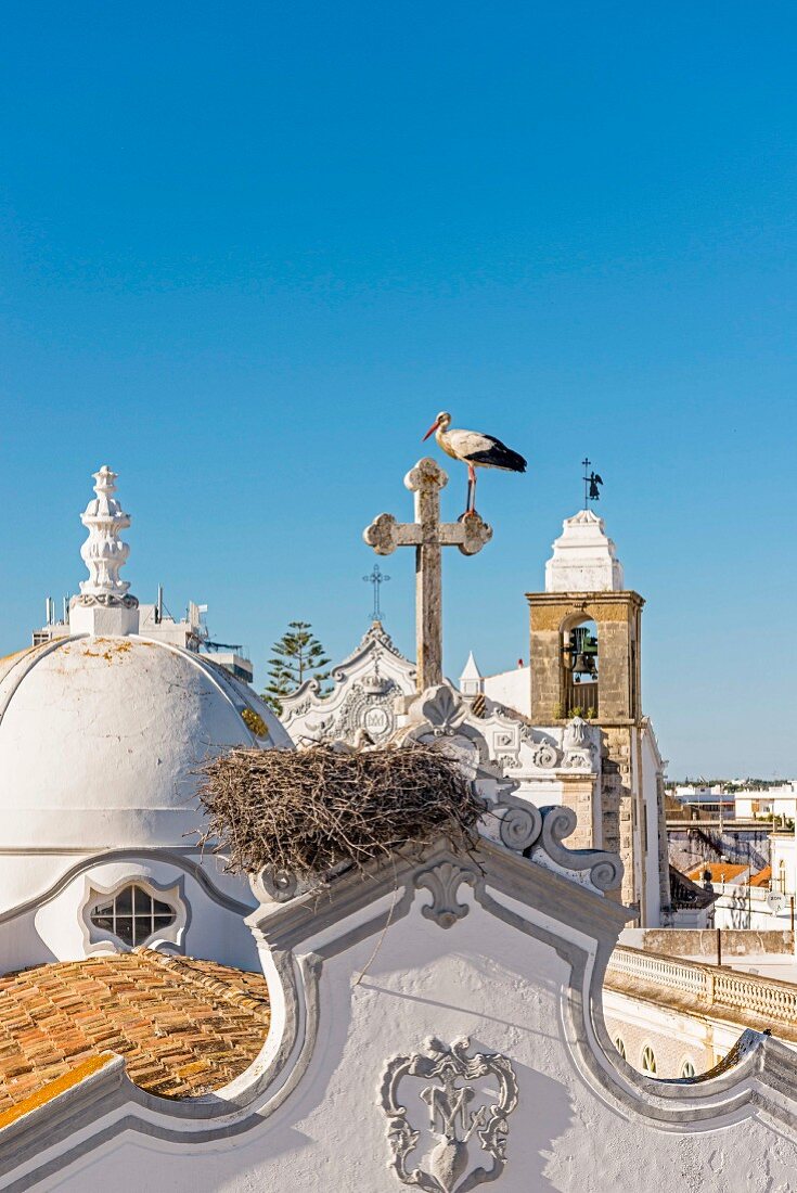 A stork's nest in Olhao in the Algarve region of Portugal