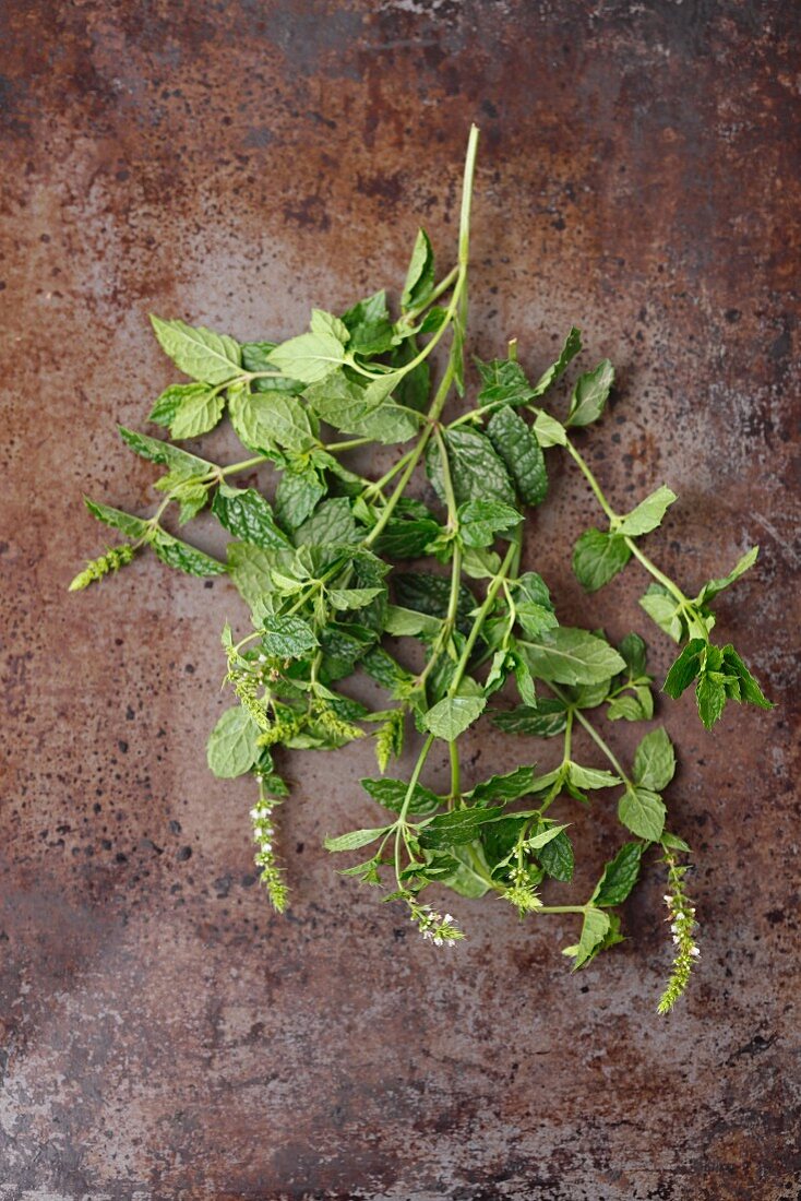 Fresh sprigs of mint on a metal surface
