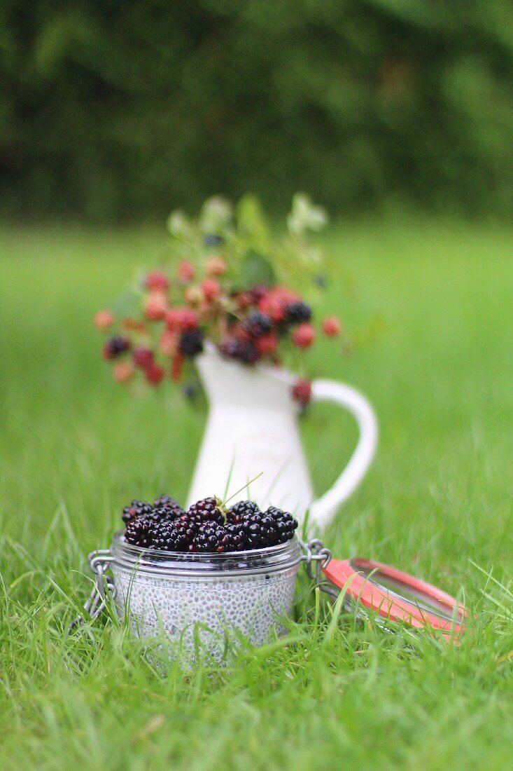 Chia pudding with blackberries on a meadow