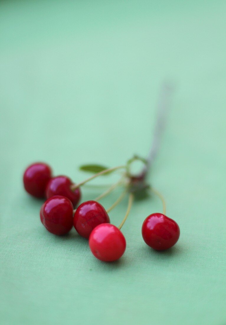 Cherries on a green surface