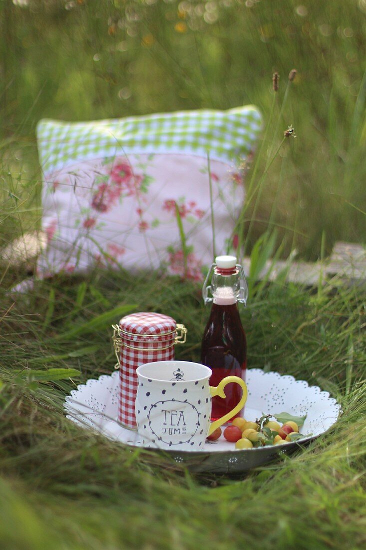 Picknick mit Tee und Mirabellen