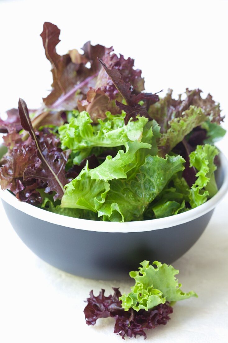 Mixed salad leaves in a bowl