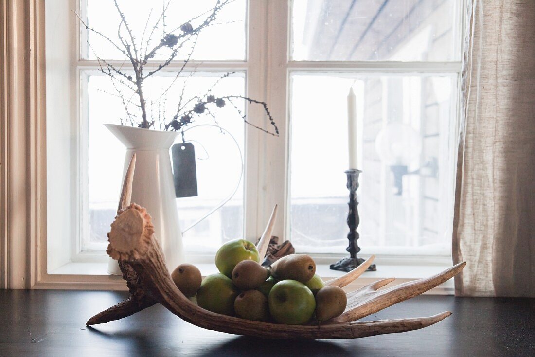 Pears and green apples on antlers in front of window