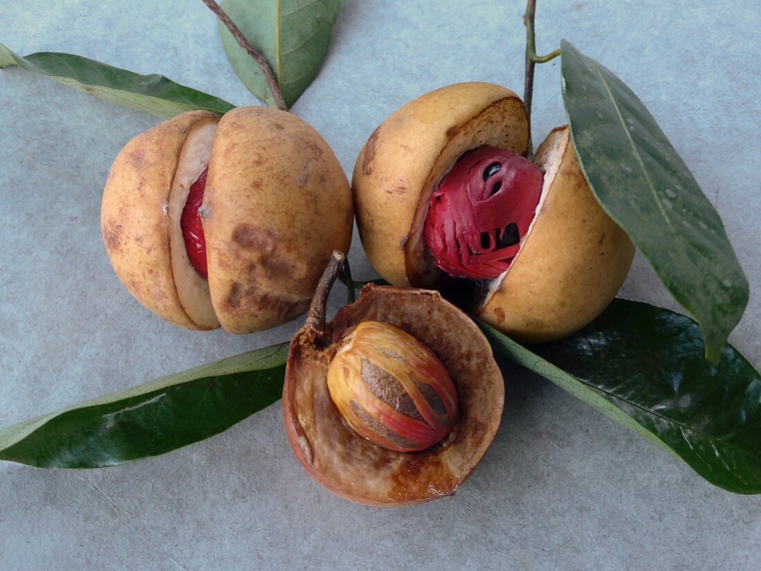 Nutmeg seeds with fruits and mace