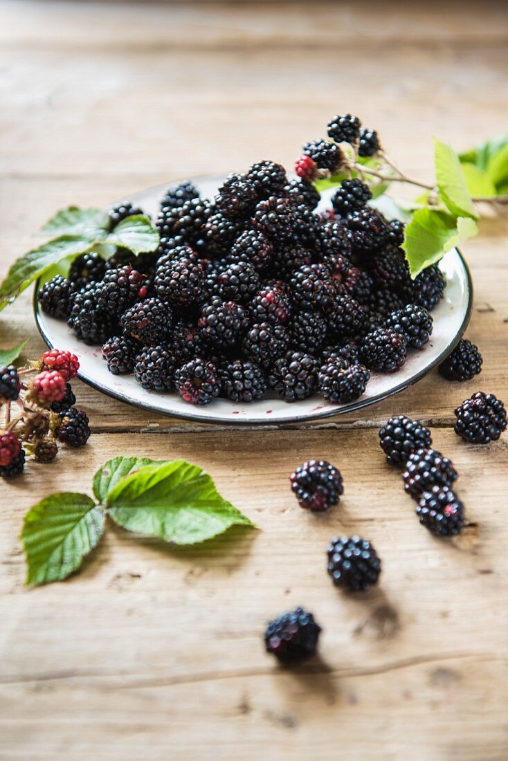 A plate of freshly picked blackberries with leaves