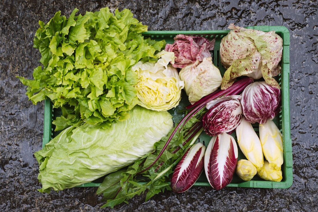 Assorted varieties of winter lettuce in a green box (seen from above)